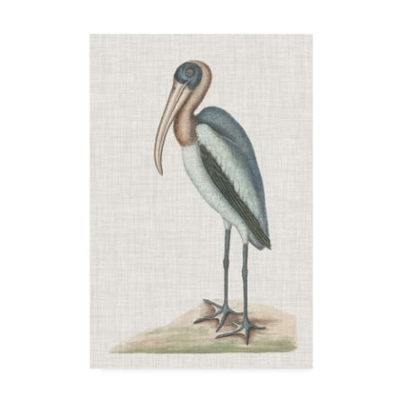 Mark Catesby 'Catesby Heron IV' Canvas Art,22x32